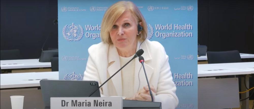 La directora del Departamento de Salud Pública y Medio Ambiente de la Organización Mundial de la Salud (OMS), María Neira, en rueda de prensa antes de la COP27. En Ginebra (Suiza), a 2 de noviembre de 2022. La