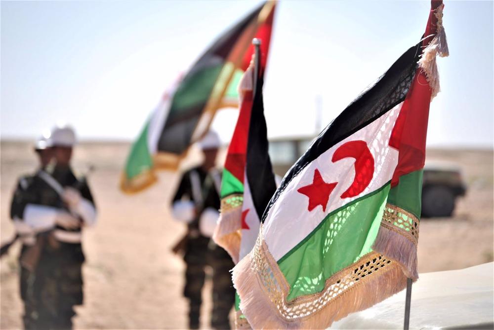 Archive - Flags of the self-proclaimed Sahrawi Arab Democratic Republic (SADR) Archive