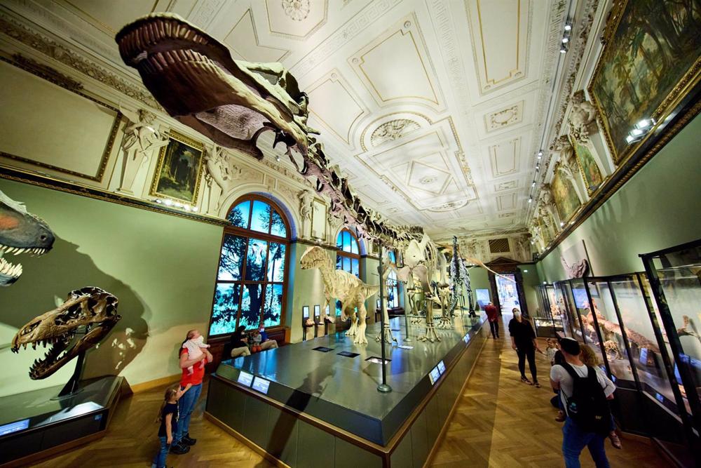 Archive - Dinosaur skeletons in the Natural History Museum Austria Archive