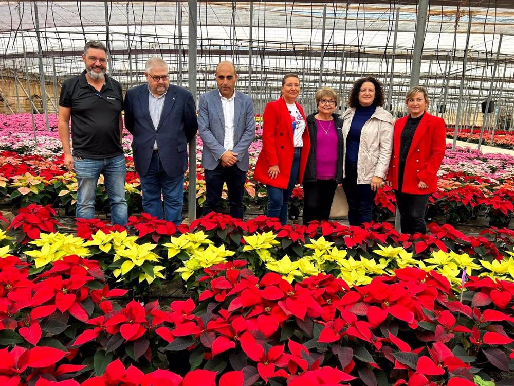 Np Capadr Almería Produce 3,5 Millones De Flores De Pascua Que Suponen El 33% Del Total Nacional Np