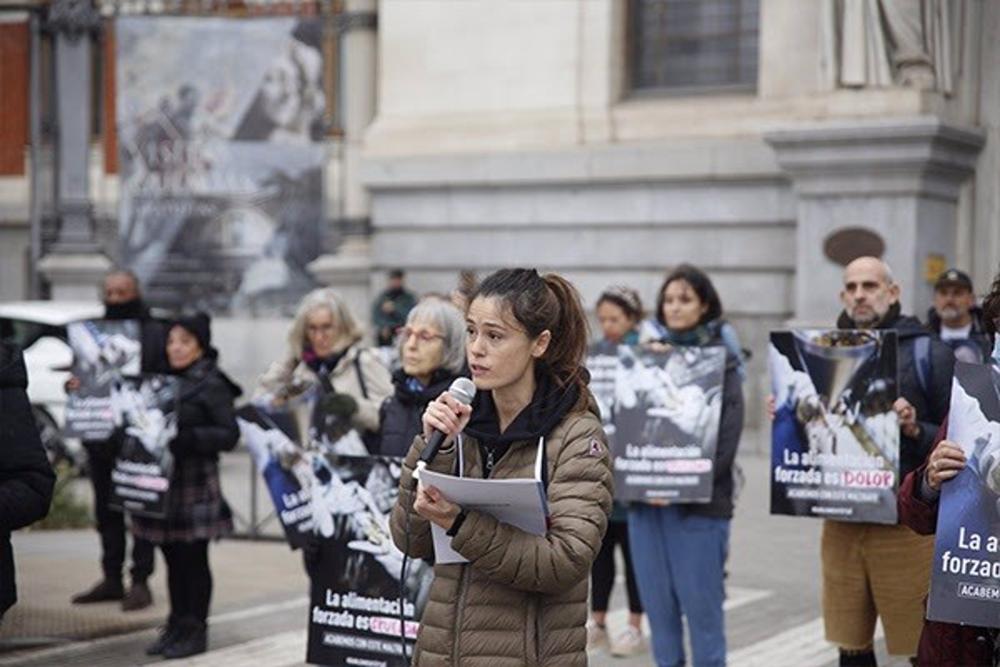Activistas reclaman ante Agricultura la prohibición de la alimentación forzada a patos y ocas para producir foie gras Activistas