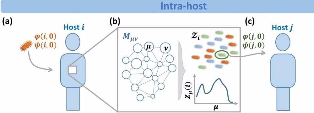 Investigadores españoles e iraelíes crean un modelo matemático pionero para predecir futuras pandemias Investigadores
