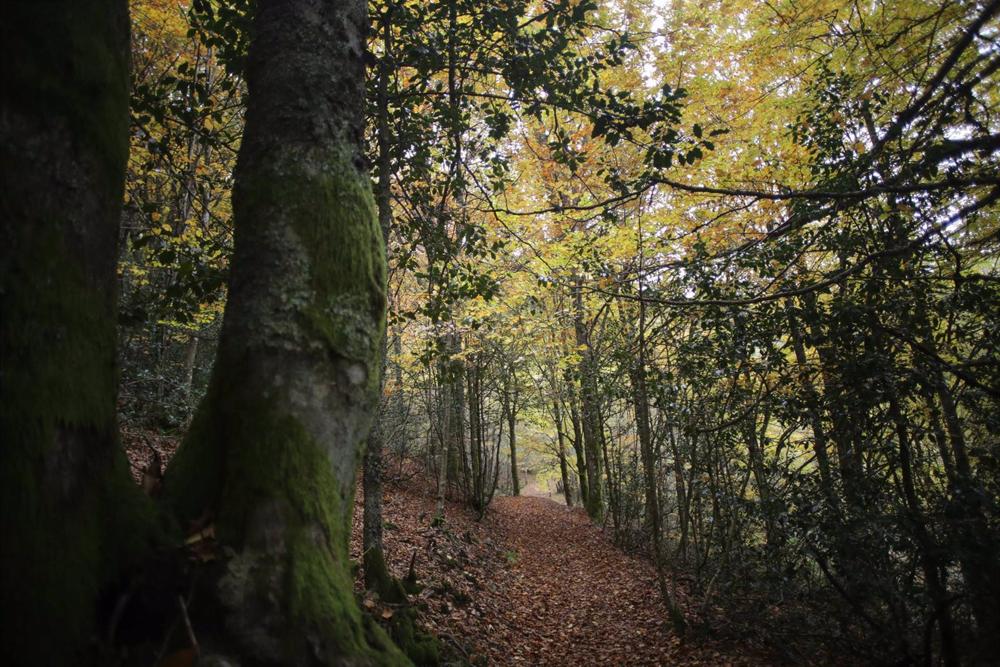 0429eaa2a59c8504f1ba4e3df81123f3.jpg"