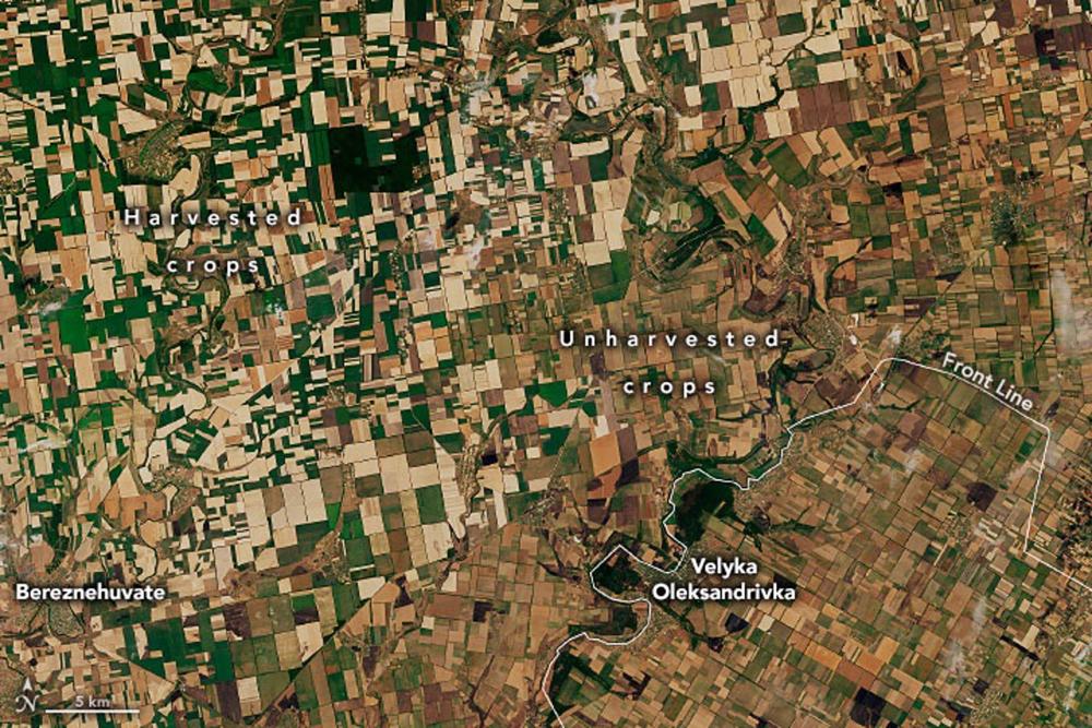 Photo satellite des cultures de blé en Ukraine (juillet 2022) Photo