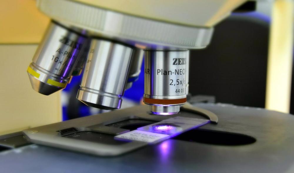 Archivo - Microscopio Archivo