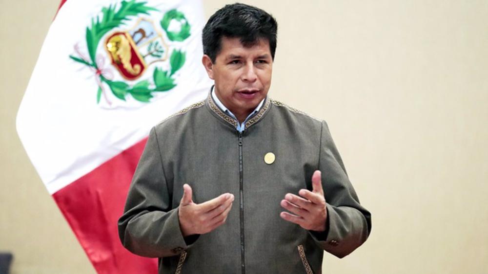 Peruvian Congress removes Pedro Castillo from office