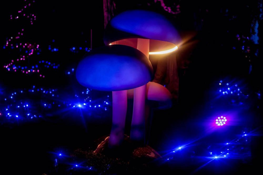 Juego de luces en el nuevo espectáculo de Naturaleza Encendida ‘Origen’ en el Real Jardín Botánico de Madrid, a 14 de noviembre de 2022, en Madrid (España). Otro año más en la temporada invernal madrileña, el espectáculo de luces Naturaleza Encendida regr Juego