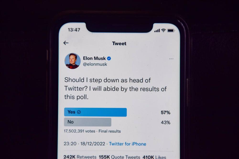 Elon Musk's poll on whether he should leave Twitter Elon