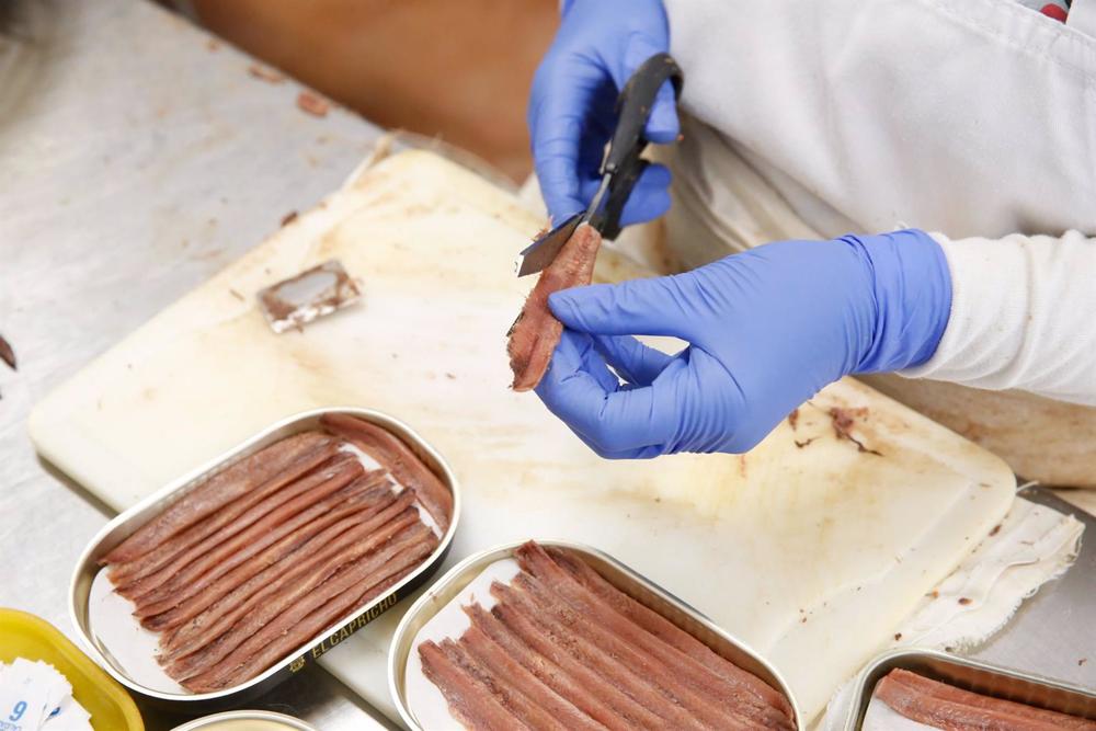 Archivo - Industria conservera Archivo