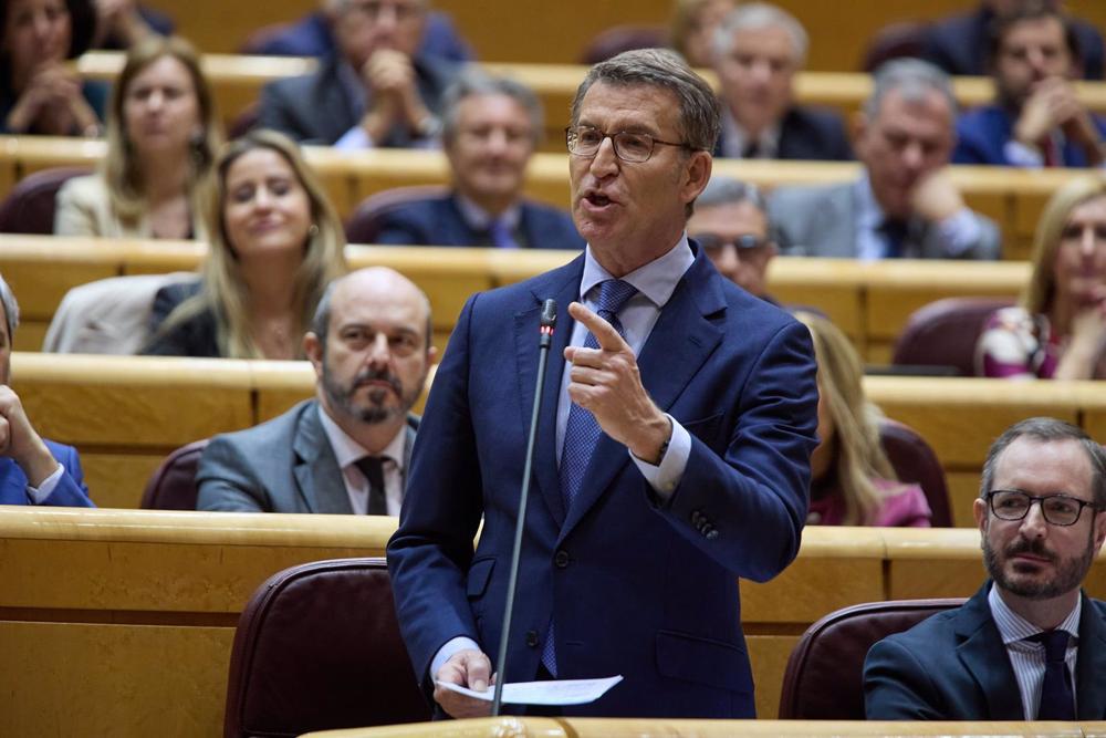El líder del Partido Popular, Alberto Núñez Feijóo, durante una sesión de control al Gobierno en el Senado, a 21 de diciembre de 2022, en Madrid (España). El presidente del Gobierno, Pedro Sánchez, y el líder del PP, Alberto Núñez Feijóo, celebran este m El