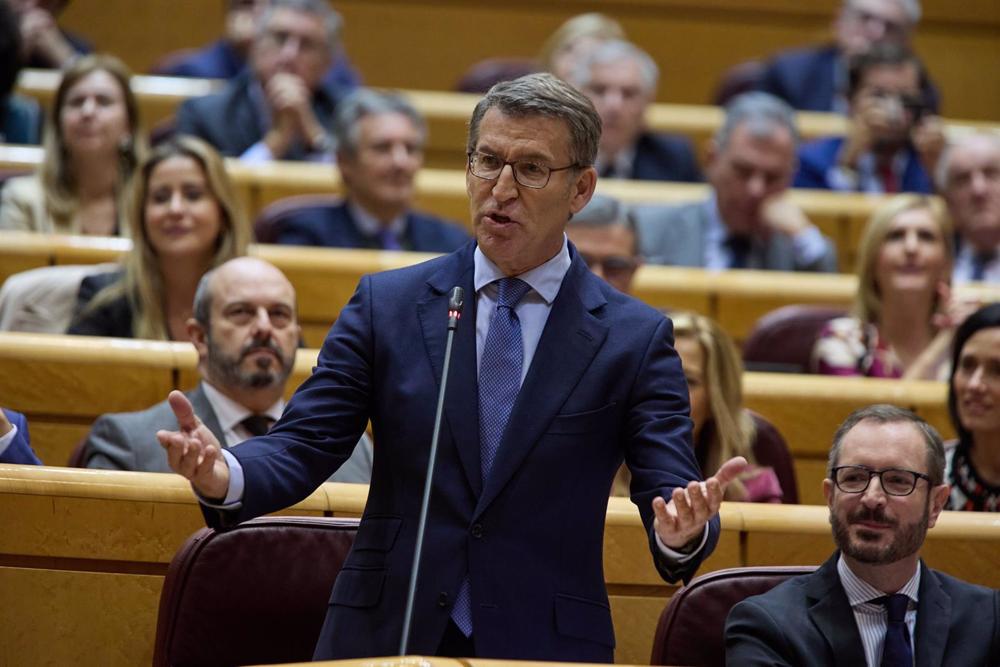 El líder del Partido Popular, Alberto Núñez Feijóo, durante una sesión de control al Gobierno en el Senado, a 21 de diciembre de 2022, en Madrid (España). El