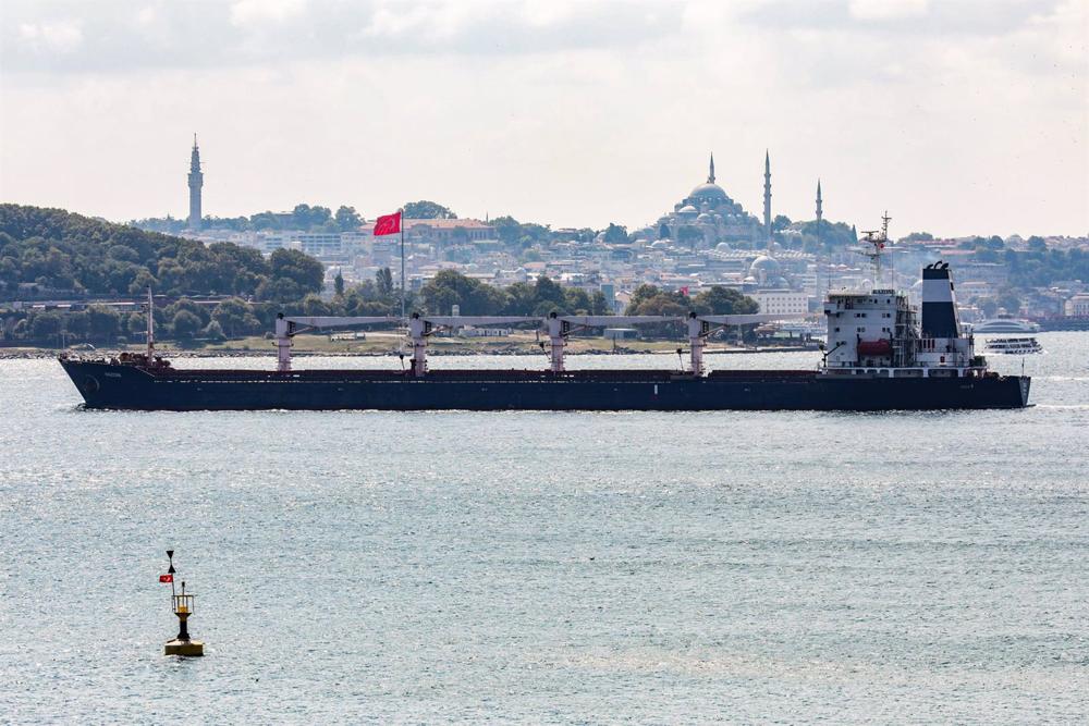 Archive - Cargo ship with tons of Ukrainian grain in Turkish waters Archive