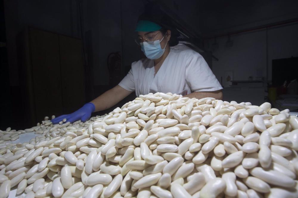 Archivo - e0b0b838458cefcc43b5065f5ebf2afa.jpg Archivo