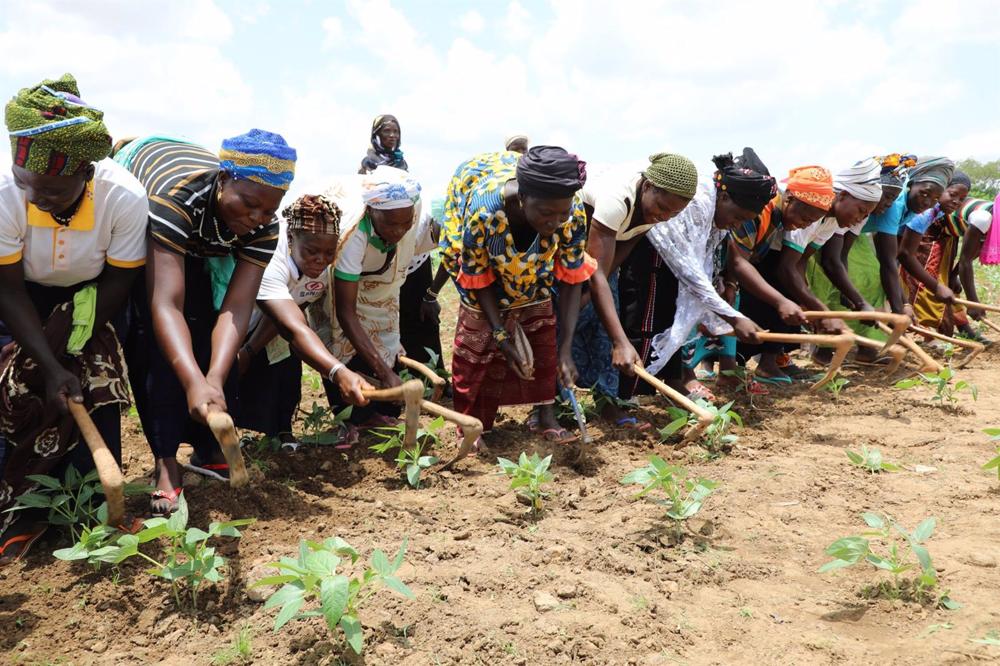 Archive - Women farmers in Burkina Faso (FILE) Archive