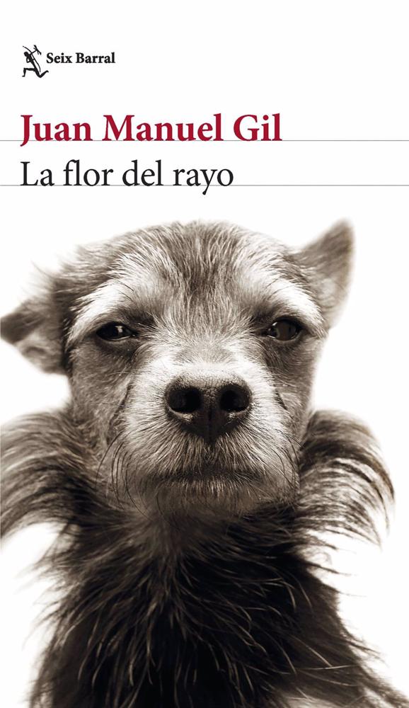 La nueva novela 'La flor de rayo' de Juan Manuel Gil llega a las librerías el 18 de enero. La