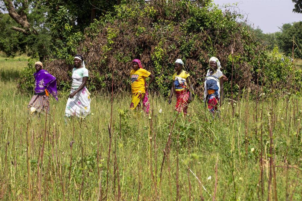 Mulheres num acampamento em Ouahigouya, Burkina Faso. Mulheres