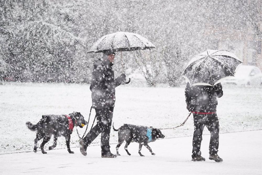 Dos personas y sus perros caminan bajo la nieve, a 18 de enero de 2023, en Pamplona, Navarra (España). El fuerte temporal asociado a las borrascas Gérard y Fien ha hecho que Navarra amanezca hoy con abundantes precipitaciones de nieve en la zona norte y l Dos