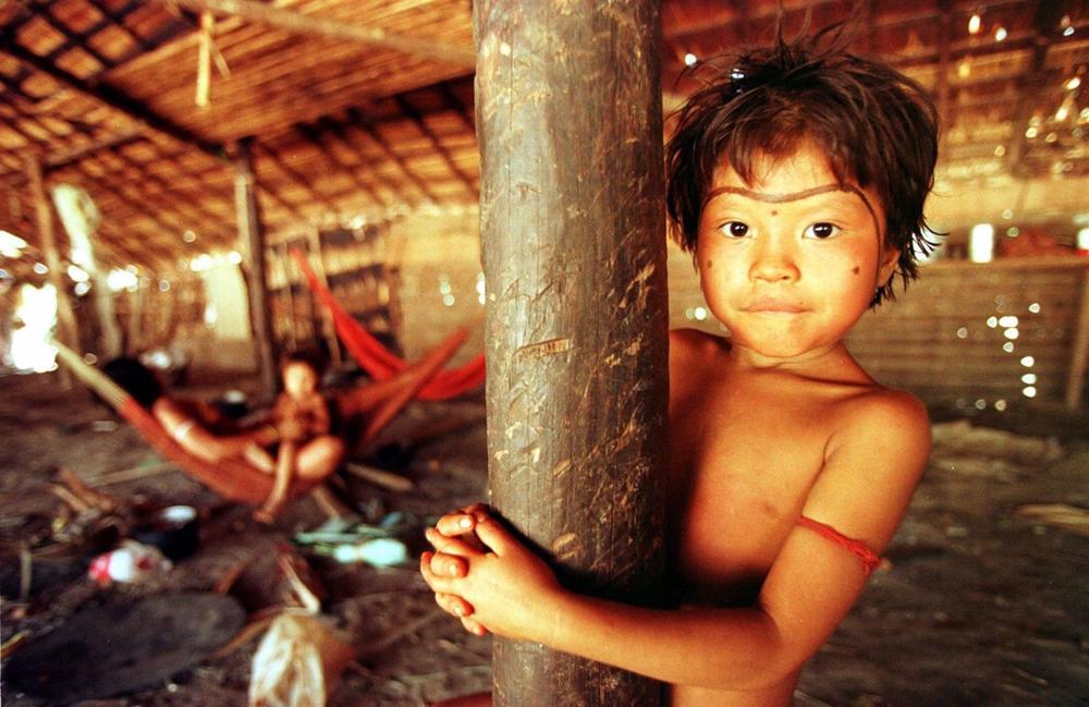Brazil to investigate cases of omission in containing the humanitarian crisis of the Yanomami community