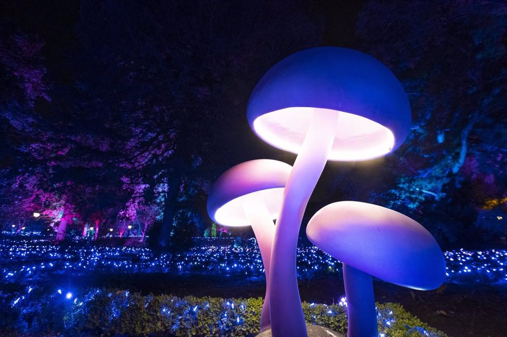 Vista de la exposción 'Origen' en el Jardín Botánico. Vista