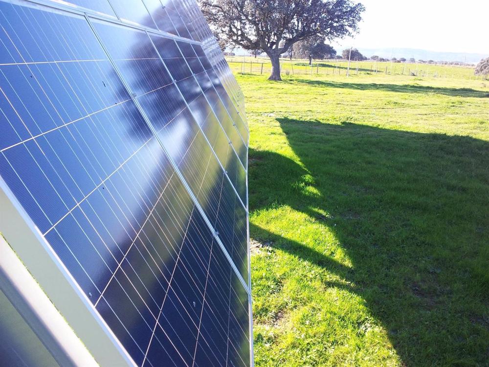 Archivo - Parque solar de OPDEnergy Archivo