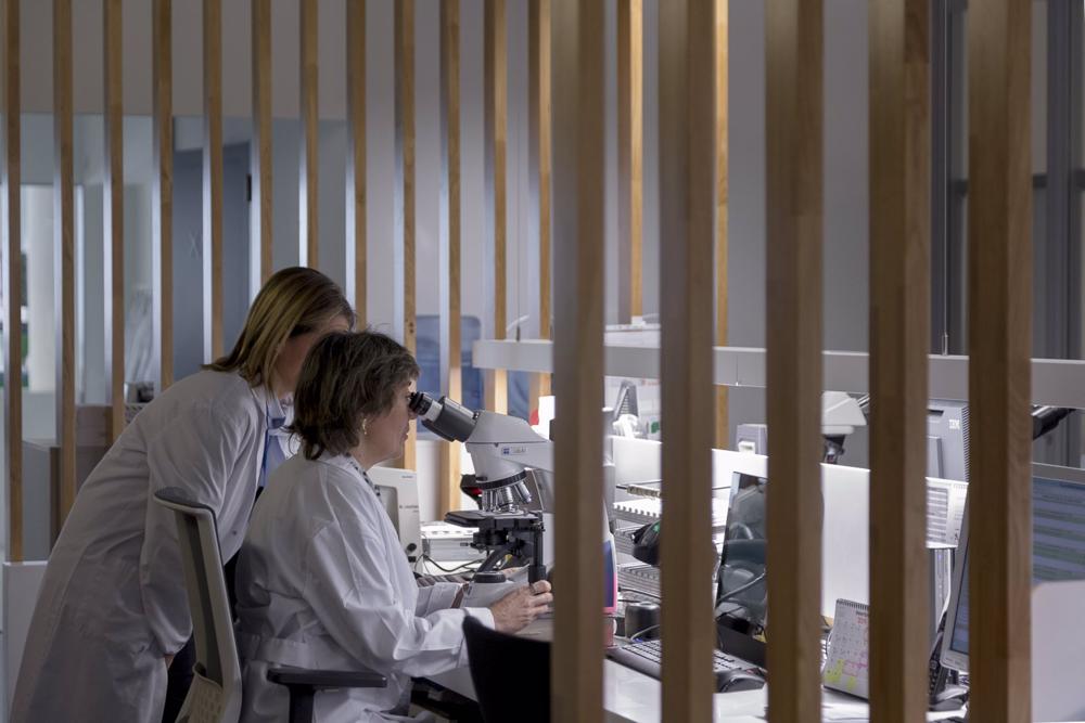 Archivo - Manuel Guerrero (Ion Ion), nuevo consejero dominical de Atrys Health Archivo