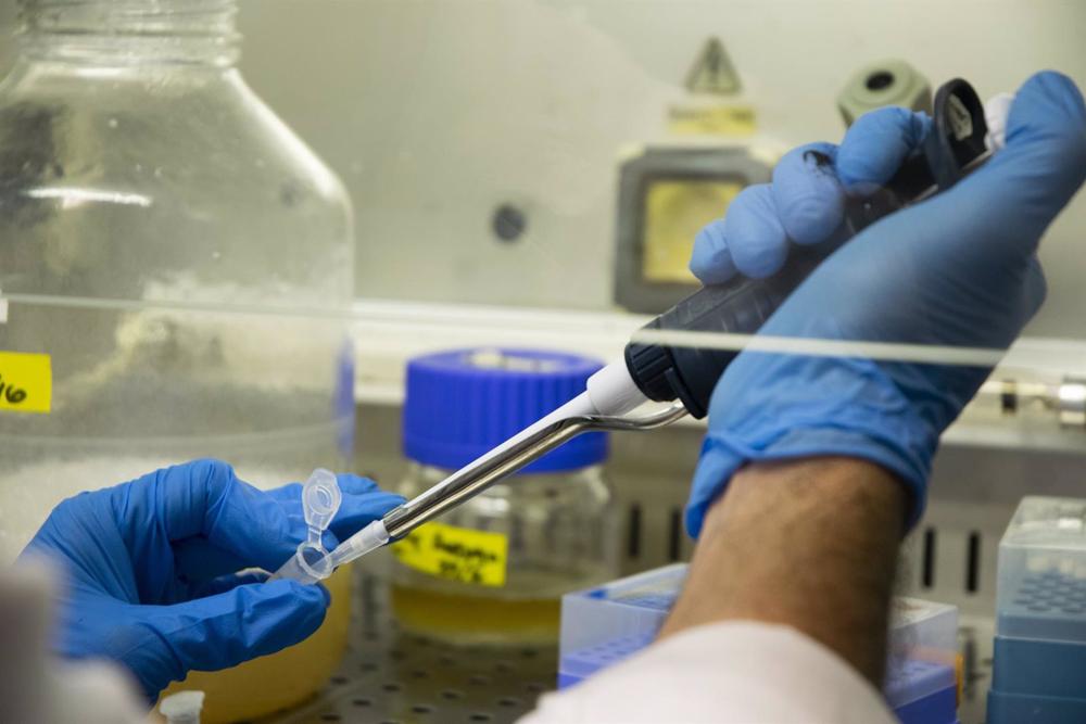 Archivo - Cuatro científicos del CSIC reciben ayudas de la Unión Europea para fortalecer sus equipos de investigación Archivo