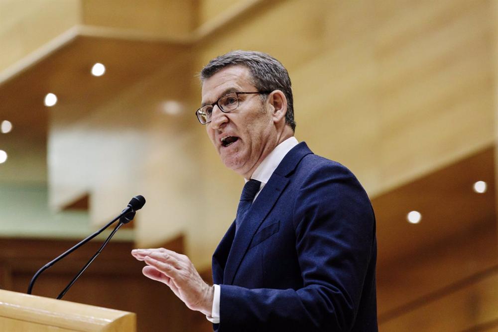 El líder del PP, Alberto Núñez Feijóo, comparece en un pleno del Senado, a 31 de enero de 2023, en Madrid (España). Esta comparecencia es la primera de este año que ha confrontado a Sánchez y al líder del PP, Alberto Núñez Feijóo. El