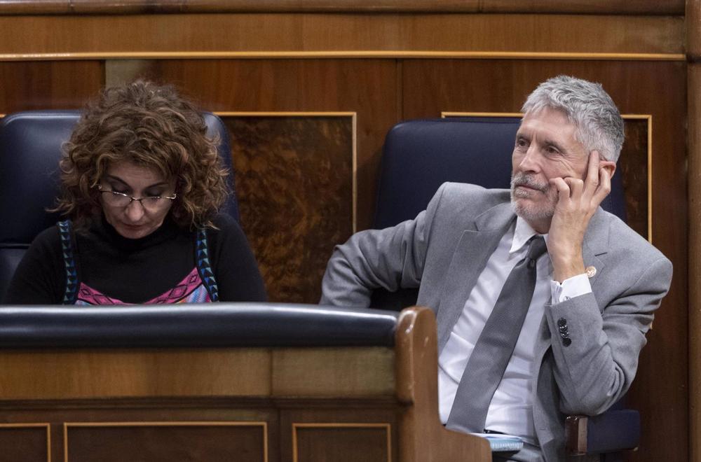 El ministro del Interior, Fernando Grande-Marlaska, en el Pleno del Congreso de los Diputados El