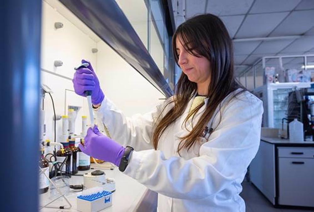 El CSIC, la primera institución científica española según el índice de Nature El