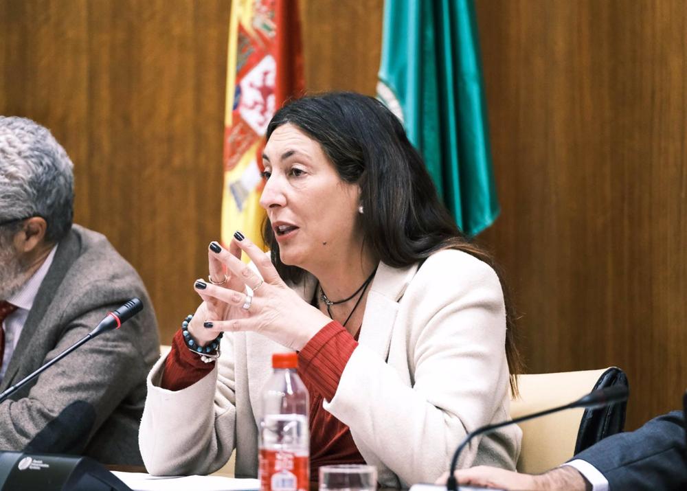 La consejera de Inclusión Social, Juventud, Familias e Igualdad, Loles López, en comisión parlamentaria La