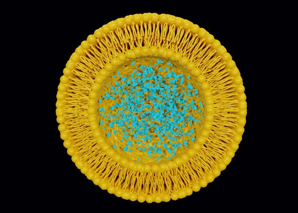 La nanomedicina abarca diversas disciplinas como la química para preparar materiales, la física para caracterizar sus propiedades y la biomedicina para la aplicación final. La