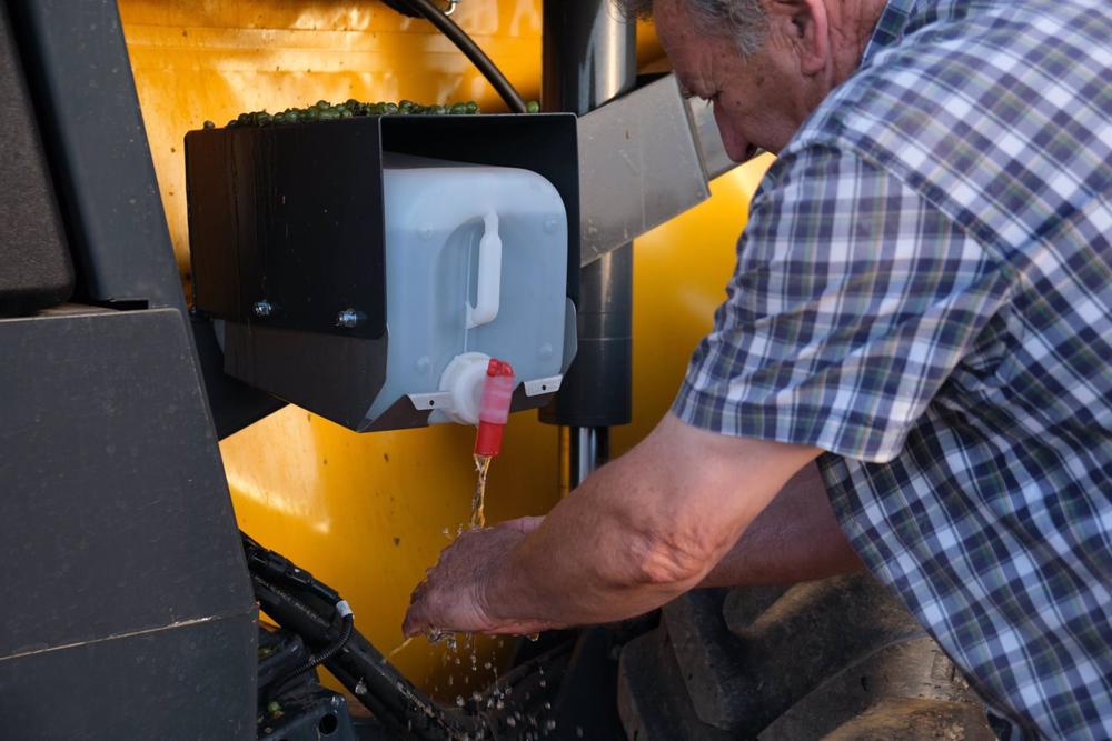 Archivo - Graciano Bordegé del Río, se lava las manos durante la vendimia de la uva Sauvignon Blanc Archivo