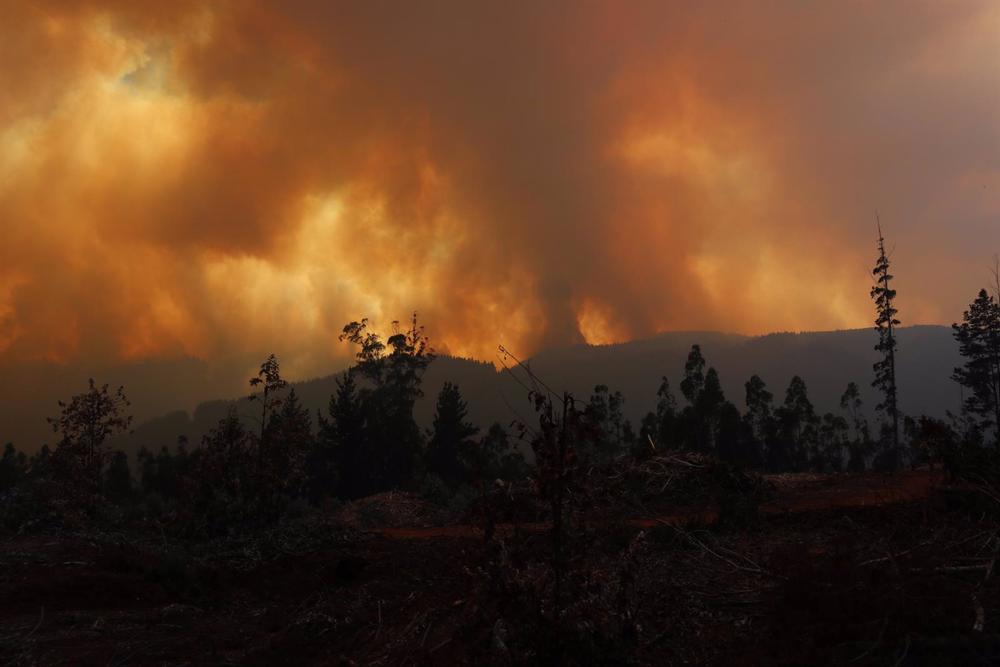 Chile.- Fires in Chile already leave 16 dead while firefighters try to extinguish 80 active outbreaks