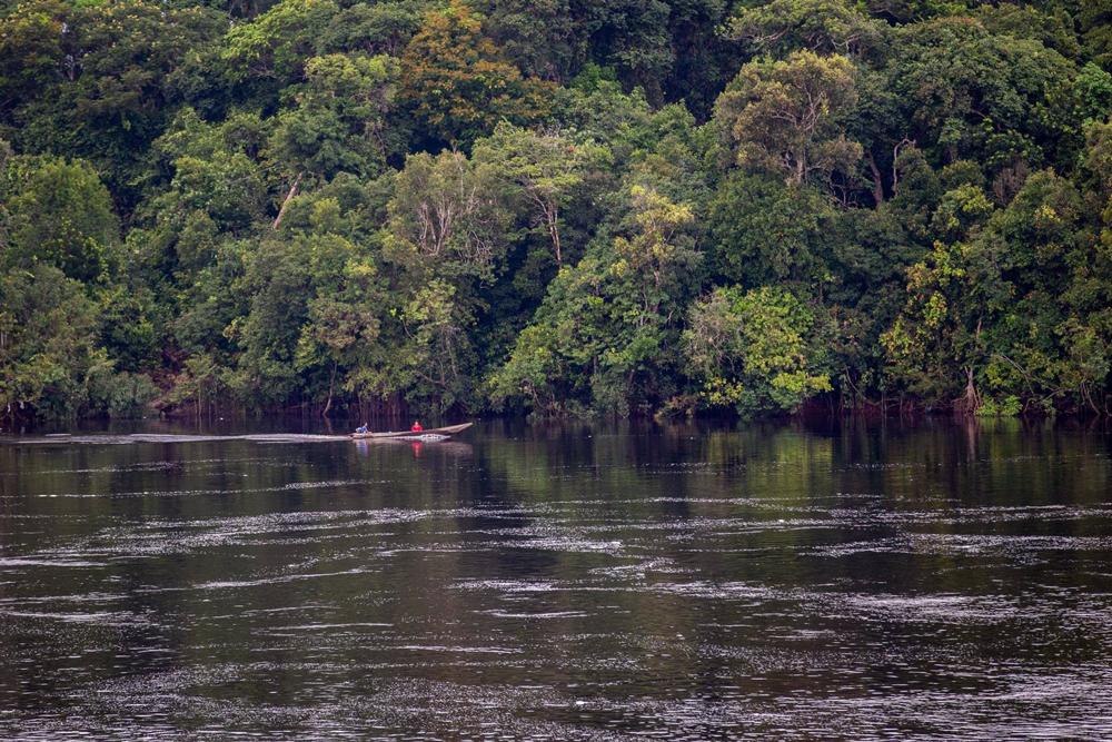 Archiv - Archivbild des brasilianischen Amazonasgebiets, an der Grenze zwischen Brasilien und Kolumbien. Archiv