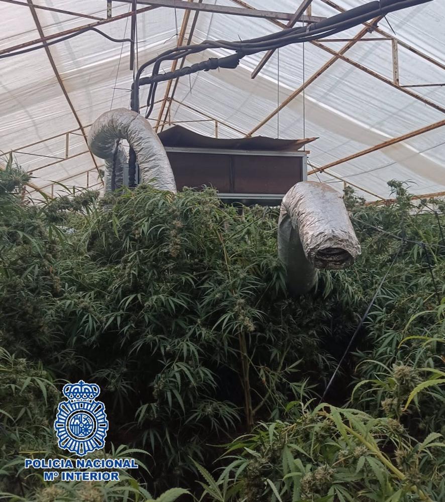 Operación'Rabbit/Lapin'"