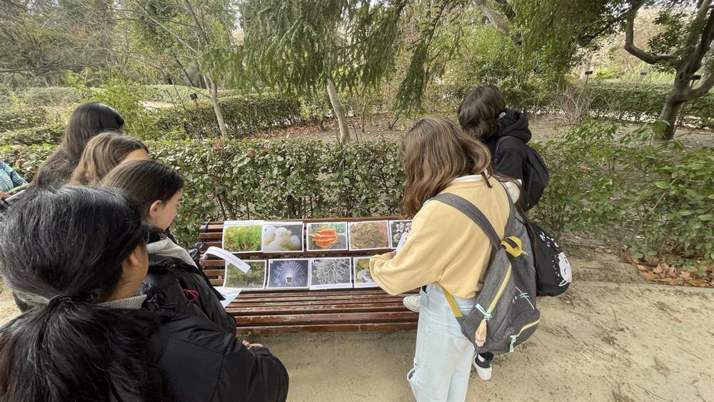 Alumnos del I.E.S Isabel La Católica (Madrid) realizando la yincana sobre biodiversidad planificada por las investigadoras. Alumnos