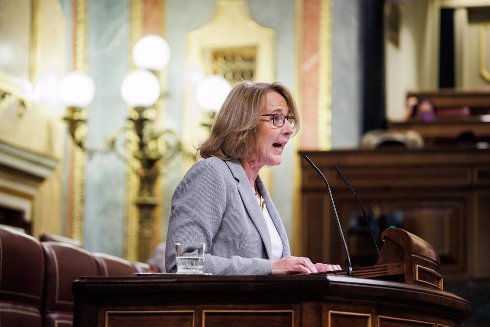 Archivo - La diputada de Vox Lourdes Méndez Archivo