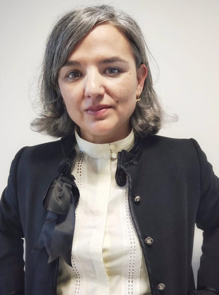 La nueva subsecretaria ha desempañado diversos puestos de carácter técnico en la Secretaría de Estado para la Unión Europea entre 2006 y 2008. La