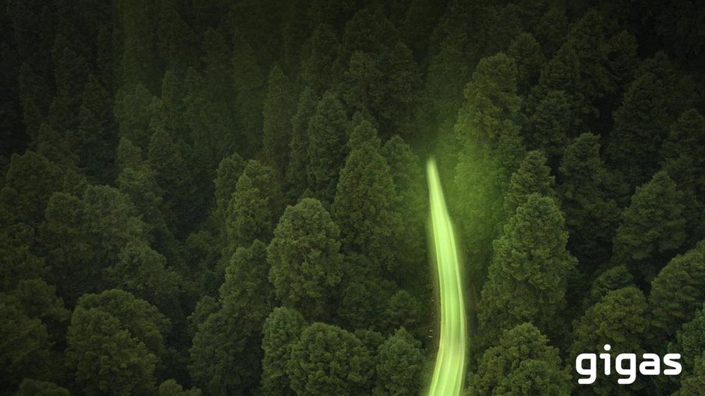 La multinacional tecnológica Gigas redujo en 2022 más de 1.900 toneladas de CO2 en España y Portugal. La