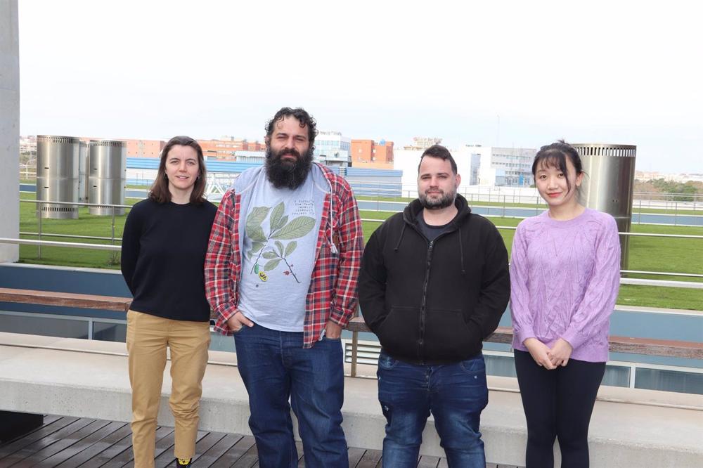 Crean una herramienta para desarrollar nuevas variedades de mijo adaptadas al cambio climático Crean