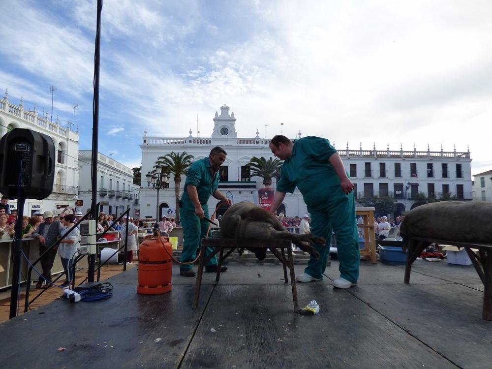 Matanza tradicional extremeña de Llerena. Archivo. Matanza