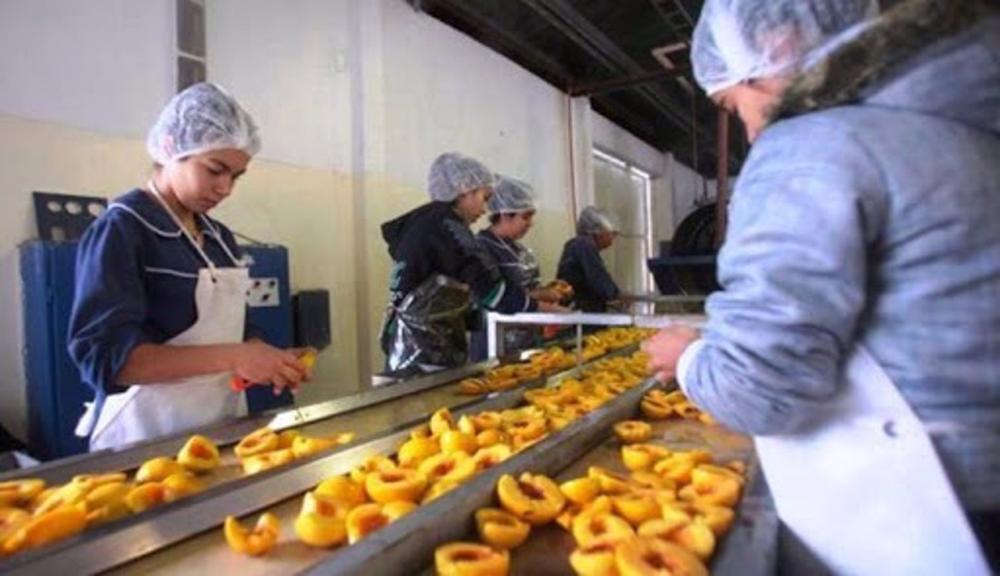 Consevas vegetales Consevas