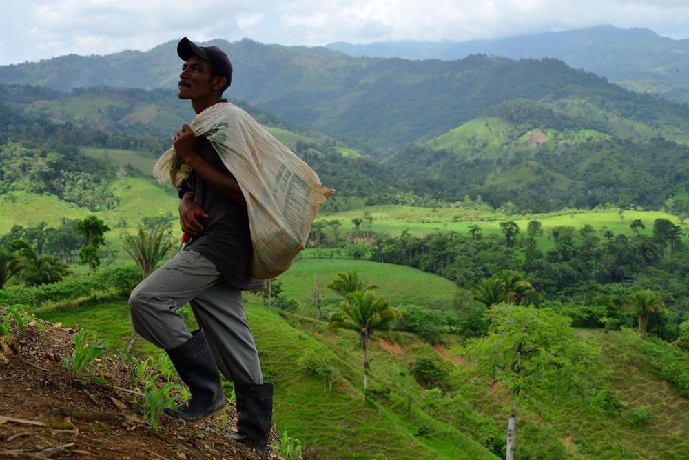 Archivo - Agricultor en Honduras Archivo
