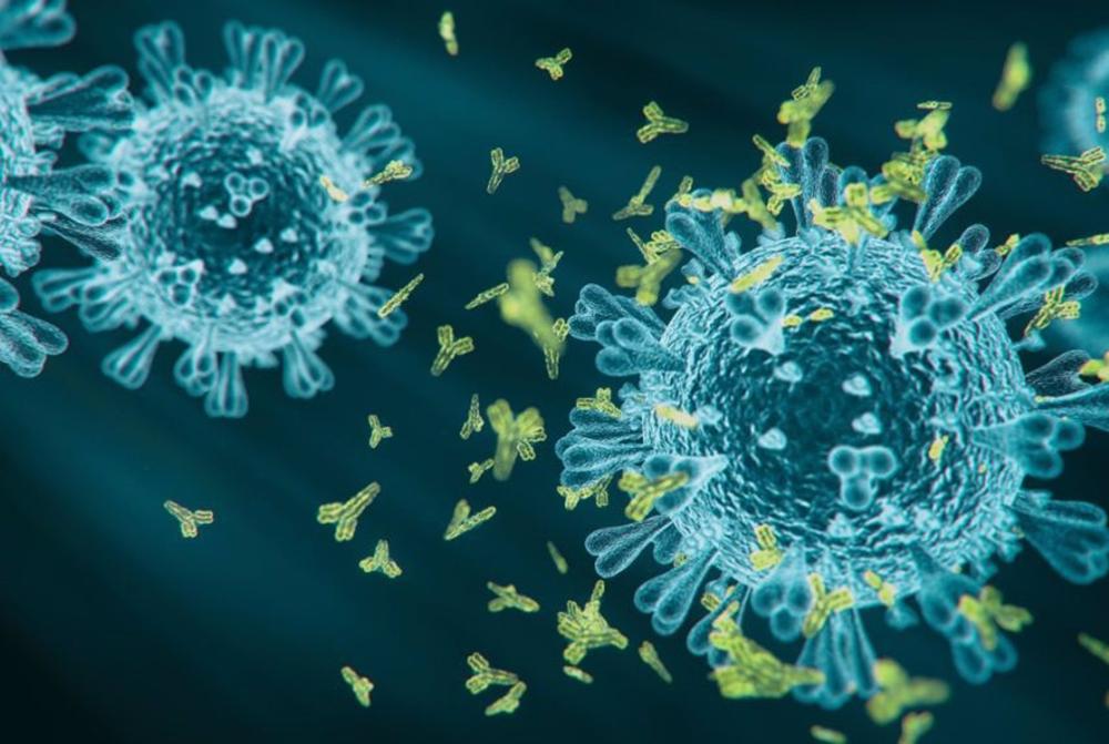 Comité Científico del Covid-19 y patógenos emergentes Comité