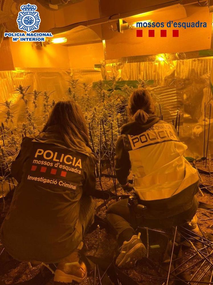 Policía