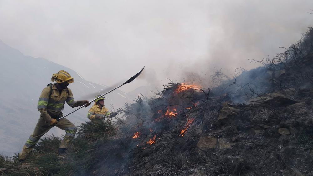Incendio forestal Incendio