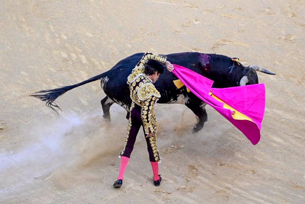 Archivo - El torero José Tomas toreando con el capote en la corrida de reaparición del diestro, después de tres años retirado de los ruedos en el coso de La Alameda, donde lidia en solitario, cuatro toros de las ganaderías de Juan Pedro Domecq, Victoriano Archivo