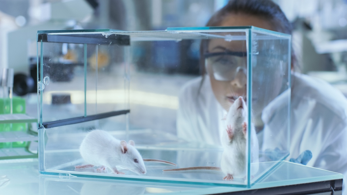 Gel-based drug creates drug that stops brain tumors in mice