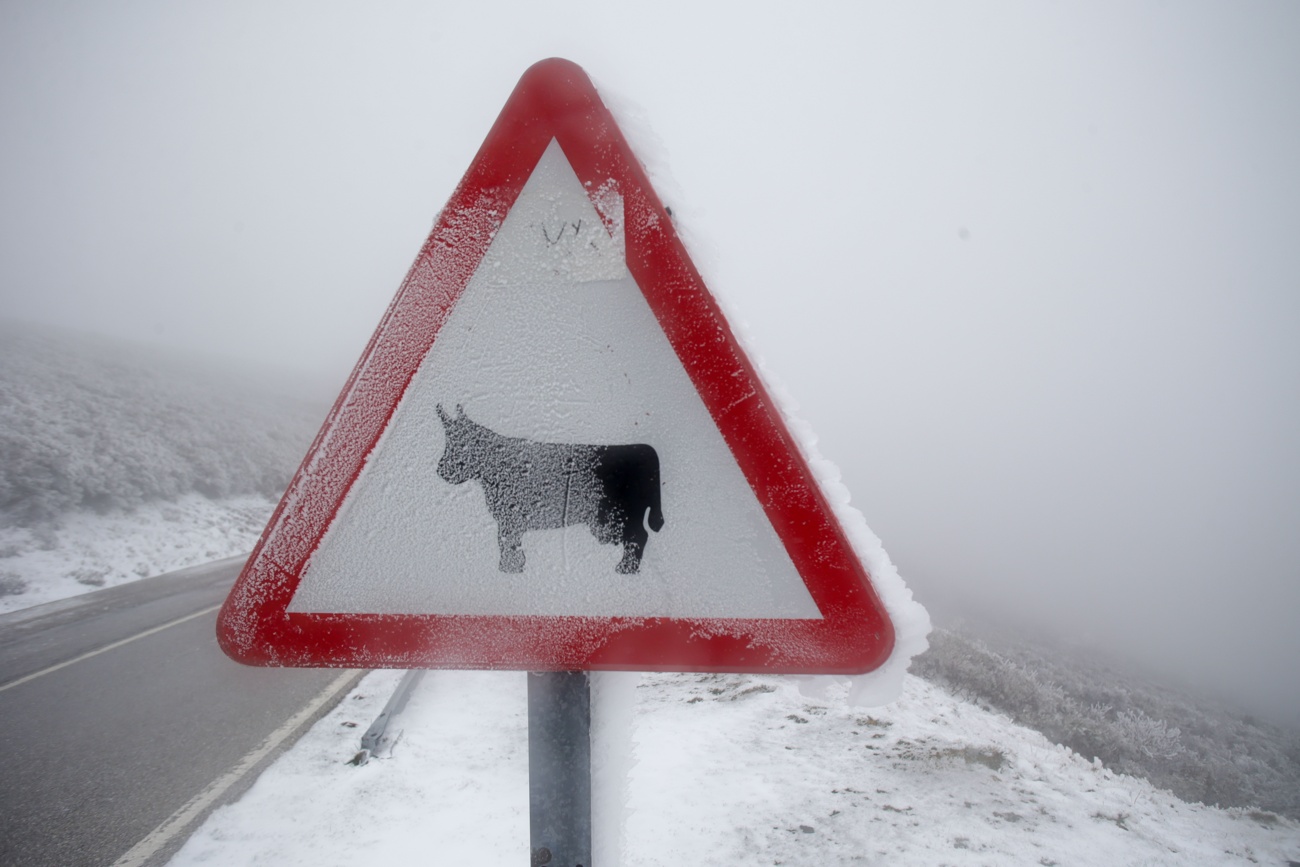 Heladas nocturnas Heladas nocturnas