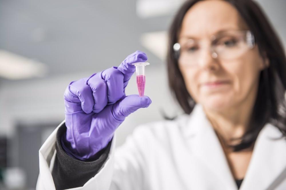 Profesora Barbara Kasprzyk-Hordern Profesora